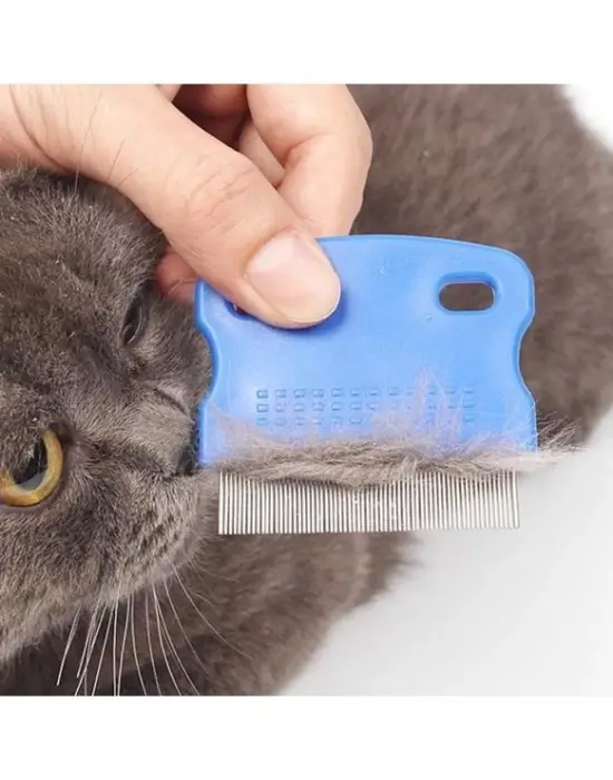 Kedi Köpek Pire Tarağı