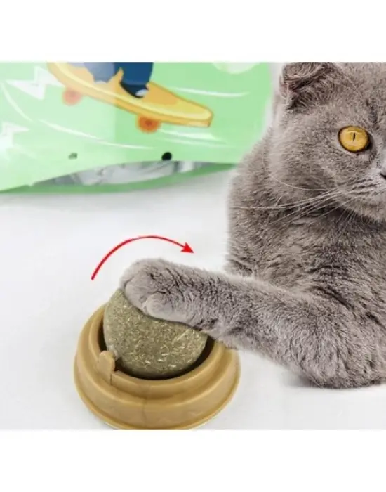 Kedi Nanesi Oyun Topu