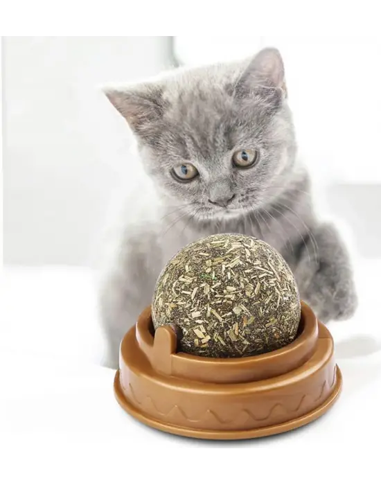Kedi Nanesi Oyun Topu