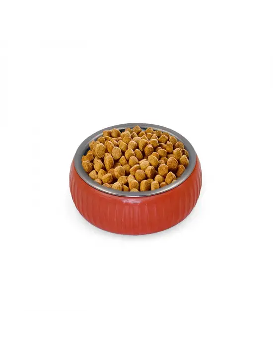Mikopet Organik Seramik Mama Kabı Kiremit