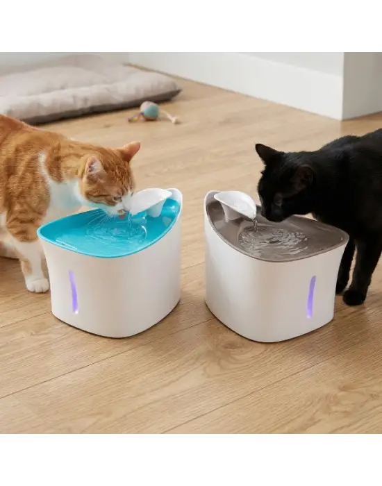 Otomatik Kedi Su Pınarı