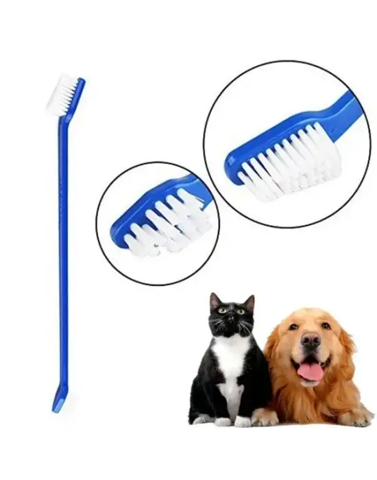 Plastik Köpek Diş Fırçası 3 Adet