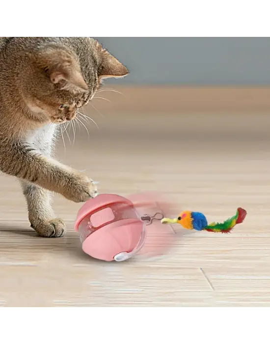 Şarjlı Hareketli Kedi Topu Oyuncak