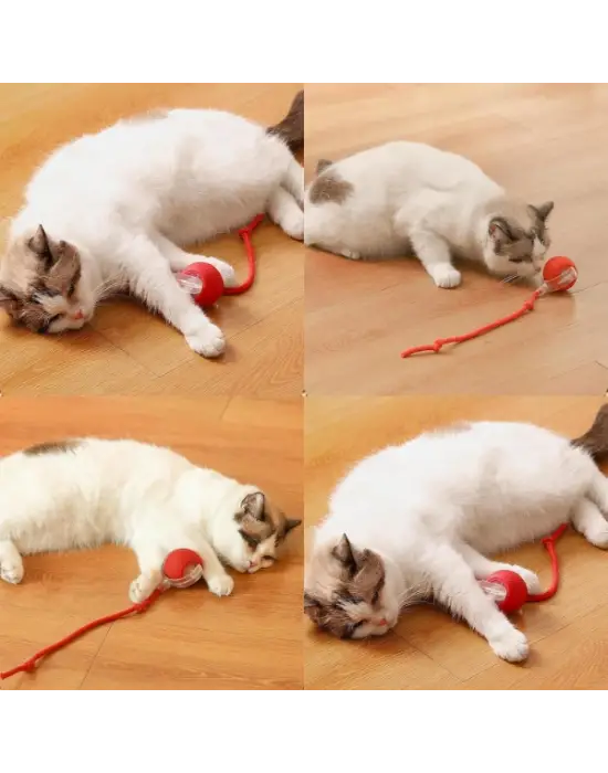 Şarjlı Kedi Oyuncağı