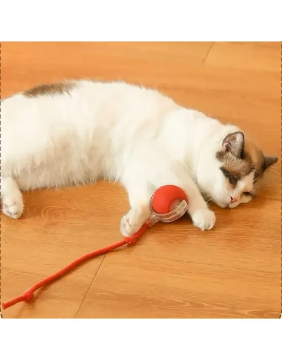 Şarjlı Kedi Oyuncağı