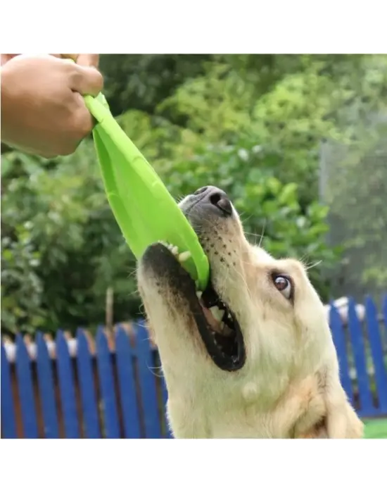 Silikon Frizbi Köpek Oyuncağı