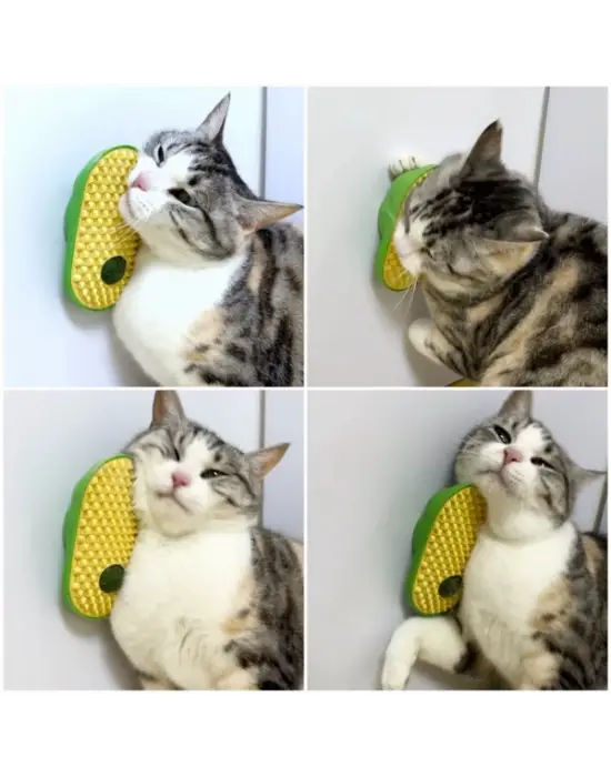 Silikon Kaşıyıcılı Kedi Otu