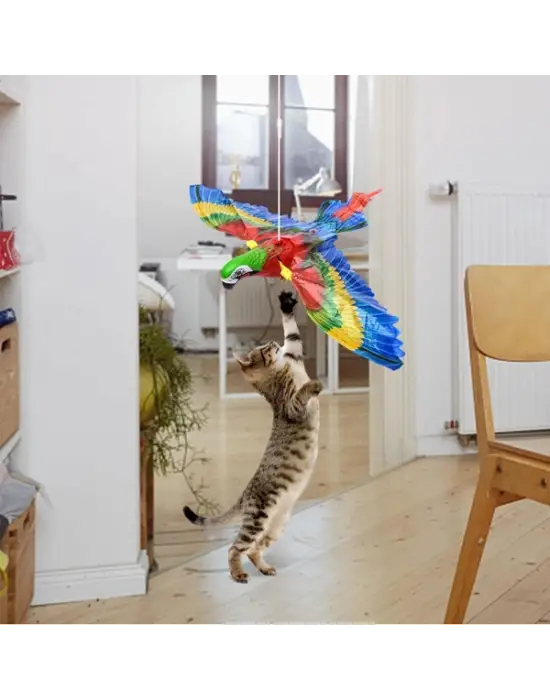 Uçan Papağan Kedi Oyuncağı