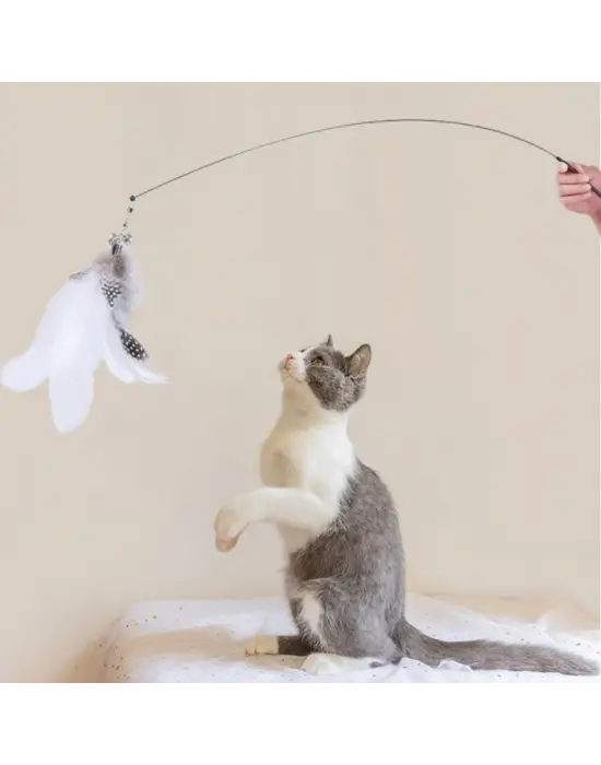 Vantuzlu Tüylü Zilli Olta Kedi Oyuncağı 2 Oltalı