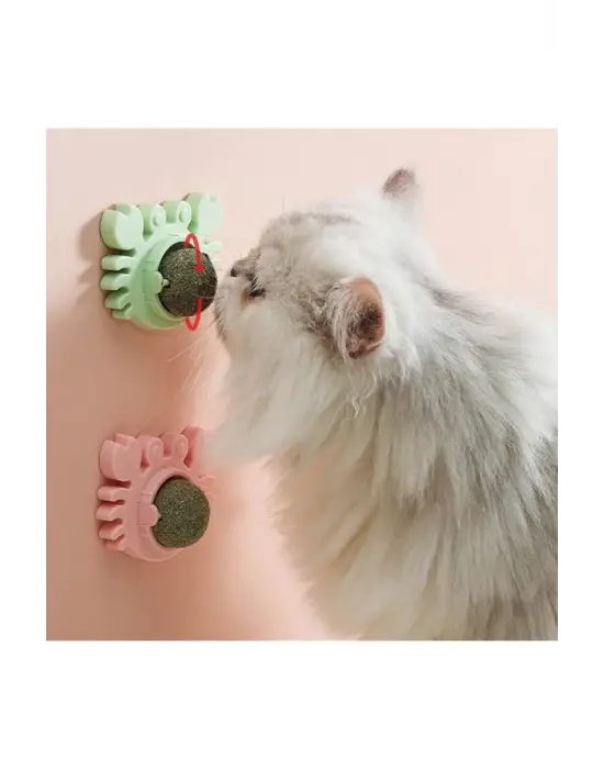 Yengeç Kedi Otu Oyun Topu