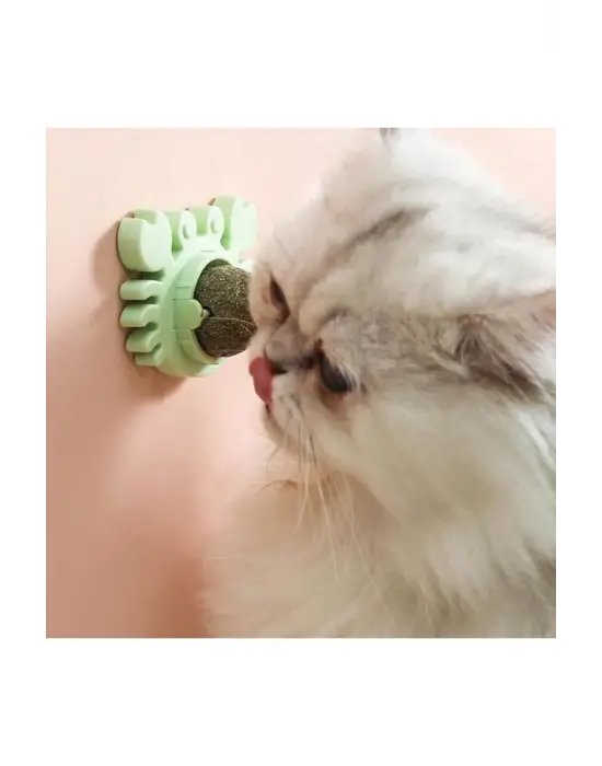 Yengeç Kedi Otu Oyun Topu