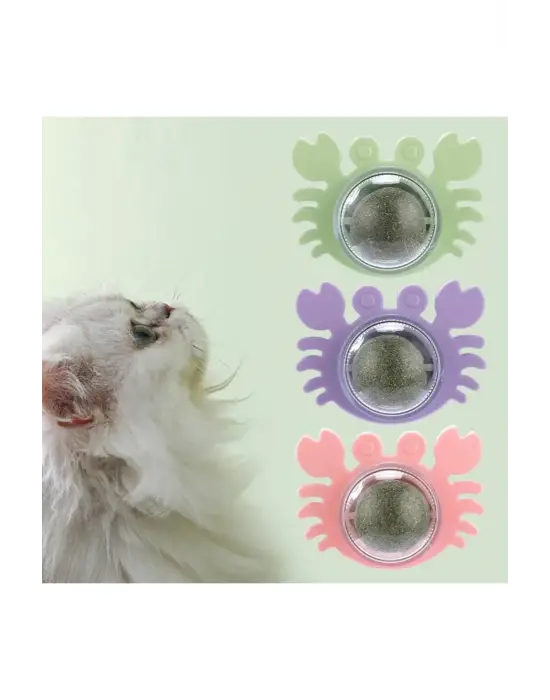 Yengeç Kedi Otu Oyun Topu