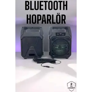 6.5 İnç Kablosuz Hoparlör Bluetooth Bağlantılı Yüksek Ses Kaliteli