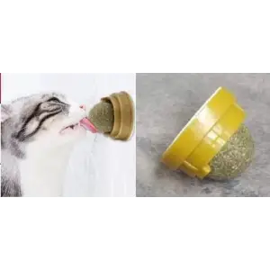 Kedi Nanesi Topu