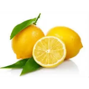 ieg™ Limon Bonesi / 100 Adet / Bitki Çayı Bonesi