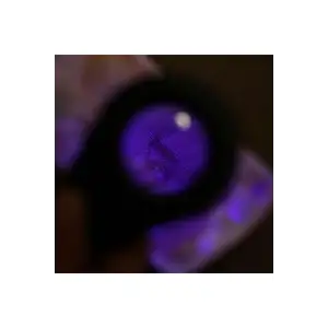 ieg™ Para Kontrol Işıklı Büyüteçli Fener