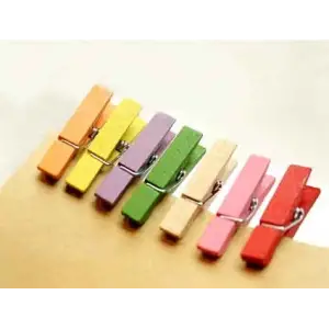 ieg™ Renkli Mini Ahşap Mandal (100 Adet)