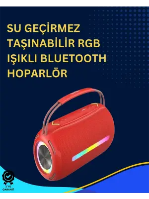 Usb/sd/aux Girişli Hoparlör – 10 W × 2 Çift Sürücü