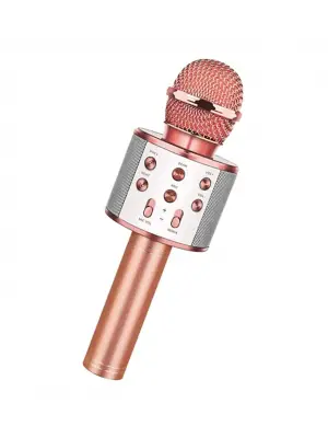 Bluetooth Karaoke Mikrofon