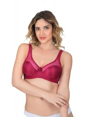 ieg™ BORDO MI  169 C Basic Balenli Toparlayıcı Sütyen