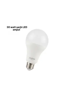 Dl-2030 Şarjlı Led Ampul