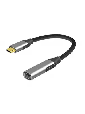 ZR722 Type-C Mini Dp Çevirici