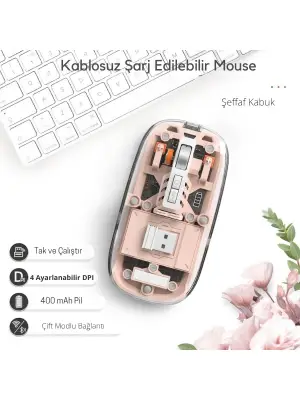 Pembe 501 Bt+ Wireless Mouse ZR1133