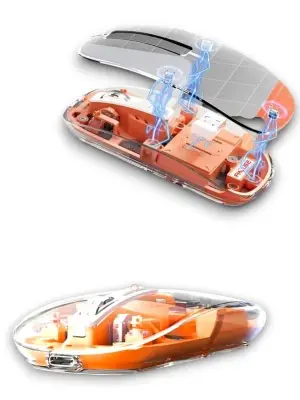 Pg-9010 Mouse Fare