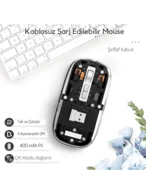 Siyah 501 Bt+ Wireless Mouse ZR1133