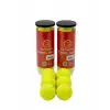 6lı Tenis Topu