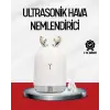 El Tipi Usb Mini Soğuk Mist Nemlendirici 220 ml Tank