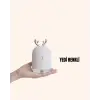 Abs+pp Malzemeli Taşınabilir 220 ml Usb Mist Nemlendirici