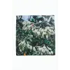 Çiçek Desenli Zr Şifon Fular 50*50 cm