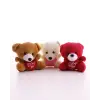 3 Adet Sevimli Mini Ayıcıklar Hediyelik Anahtarlık Set