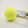 3lü Köpek Oyun Tenis Topu