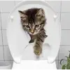 Decohandy Klozet Etiketi Stray Cat