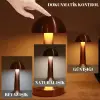 Dekoratif Led Masa Lambası 3 Renk Modlu