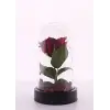 Led Işıklı Fanus İçinde Kırmızı Yapay Gül