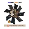 ieg™ Mısırlı 62900 Erkek Organik Modal Soket Çorap