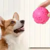 Pati Desenli Dayanıklı Köpek Isırma Topu