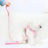 Peluş Ayıcıklı Göğüs Gezdirme Tasması Seti