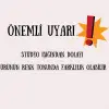  Fantezi Yılbaşı Kostümü IEG9198