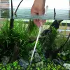 ieg™ Uzun 30 Cm Çelik Cımbız - Akvaryum Maşası