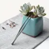 ieg™ Uzun 30 Cm Çelik Cımbız - Akvaryum Maşası