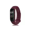 ieg™  Xiaomi Mi Band 4 Klasik Kordon - Mürdüm