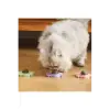 Yengeç Kedi Otu Oyun Topu