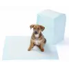 ieg™ Yıkanabilir Köpek Çiş Pedi - 100 X 100 Cm