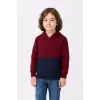 iegiyim™ Erkek Çocuk Kapüşonlu Kanguru Cepli Parçalı SweatShirt - Renkli