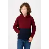 iegiyim™ Erkek Çocuk Kapüşonlu Kanguru Cepli Parçalı SweatShirt - Renkli