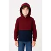 iegiyim™ Erkek Çocuk Kapüşonlu Kanguru Cepli Parçalı SweatShirt - Renkli